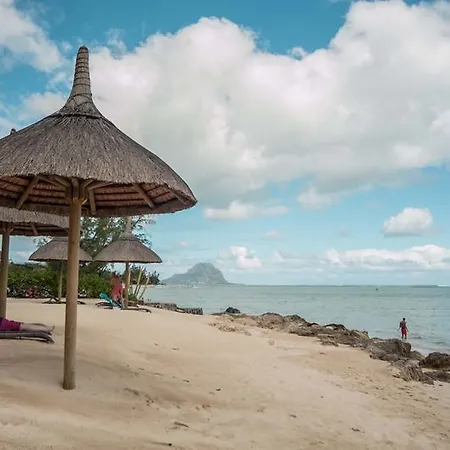 Esplanade Beachfront Luxury Apartments